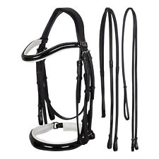 Bridle Équestre De Dressage