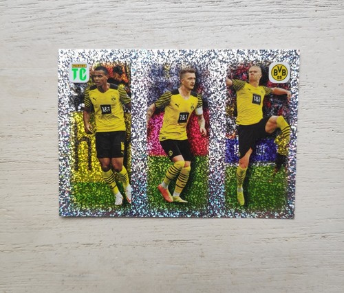 Panini erling haaland top - erling,