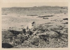 ANCIENNE PHOTOGRAPHIE
