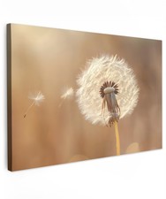 MuchoWow© Photo tableaux