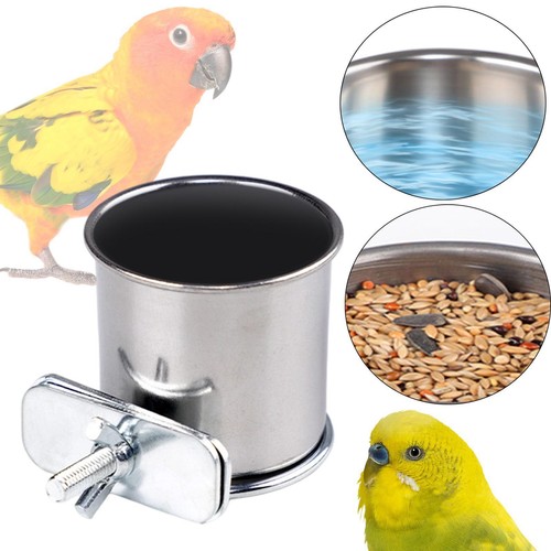 Mangeoire pour oiseaux - ,, à