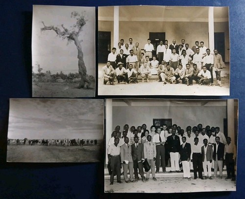 Madagascar sambava tulear - sambava,