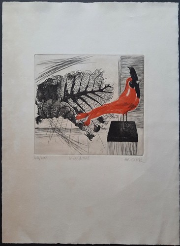 Cardinal par marcelle - le,