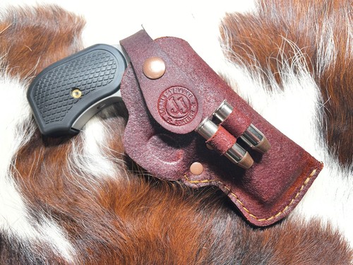 Rough out holster for - out,