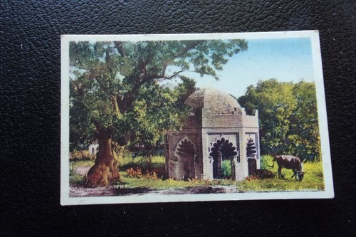 Algerie carte postale - algerie,