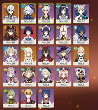 compte genshin impact AR27 5*