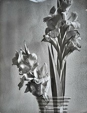 Fleur vase composition photo