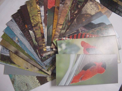 Cartes postales nestle - postales,