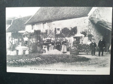 89 UNE EXPLOITATION HORTICOLE