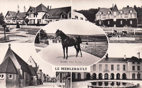 Merlerault sica boy - merlerault,