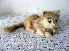 Ancien petit chat tout mignon