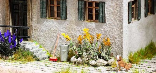 Noch 14128 onagre - noch,