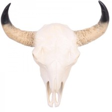 Statue vache résine tête de