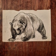 Dessin Ancien Animalier Fond