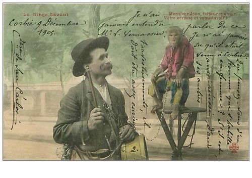 Cirque le singe - cirque.n°29.le,