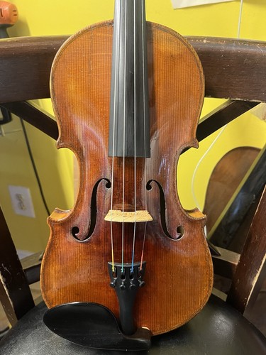 Antonius stradivarius - antonius,