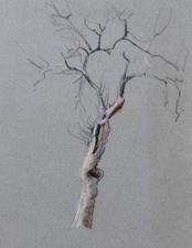 Julien Chappée (1862-1957)