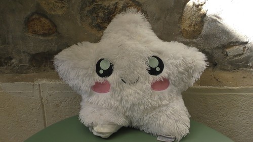 Piou piou peluche coussin