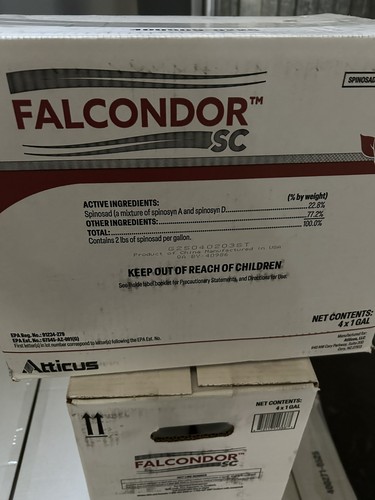 Falcondor gallon - sc, 1