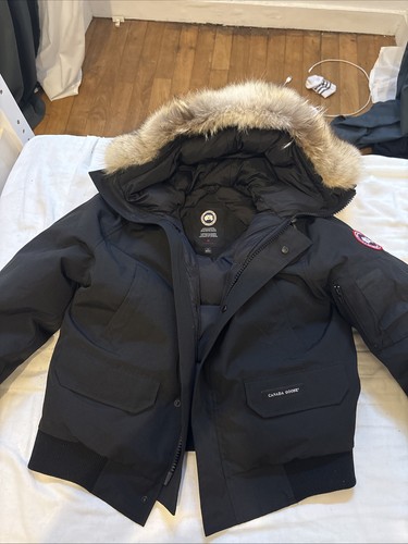 Canada goose chilliwack - chilliwack, taille