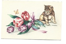 CARTE FANTAISIE  ILLUSTRATION