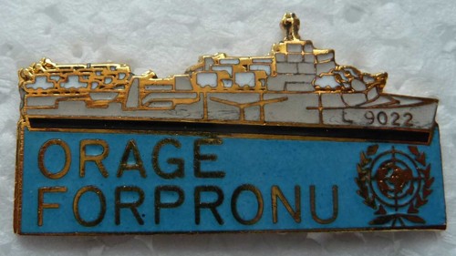 Pin militaire tcd - pin's,