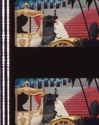 Film cendrillon 5 cadres - 35,