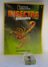 Résine inclusion insectes