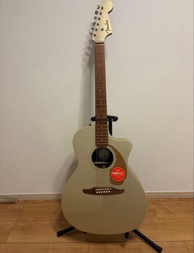 Guitare acoustique fender - guitare,
