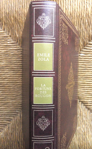 Livre roman fortune des - roman,