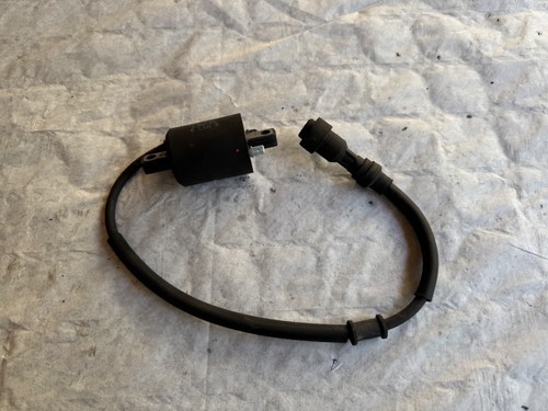 Bobine sym 125 - bobine,