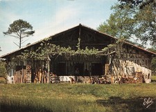 40  LES LANDES UNE FERME