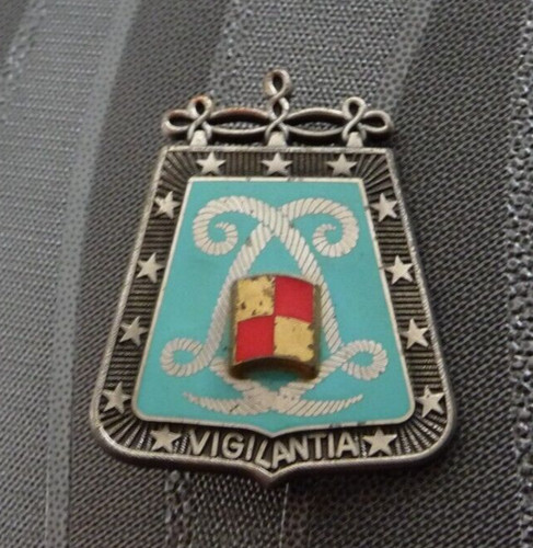 Insigne militaire regiment - insigne,