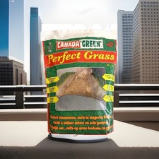 Perfect Grass - Graines De