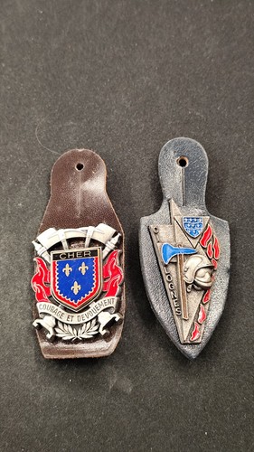 Lot insignes pucelles - 2,
