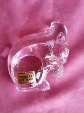 Magnifique écureuil en