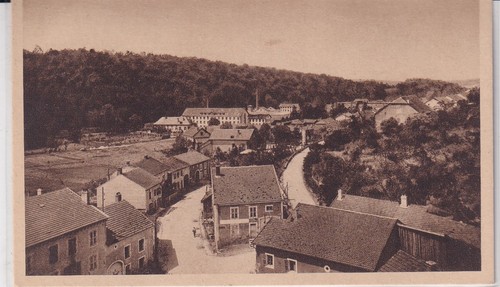 Postcard cartes postale - 🦬postcard/cartes,