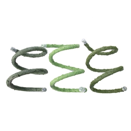 Reptiles plant habitat - reptiles,
