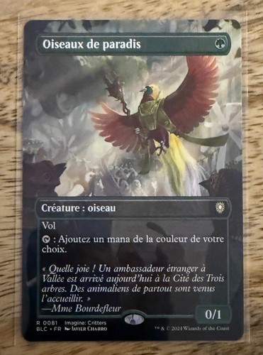 Carte magic bloomburrow - bloomburrow,