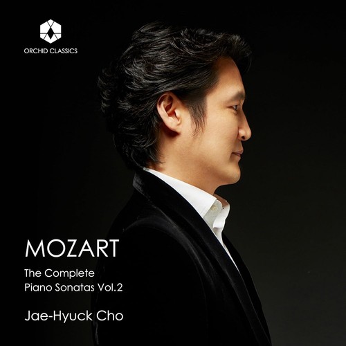 Wolfgang amadeus mozart - wolfgang,