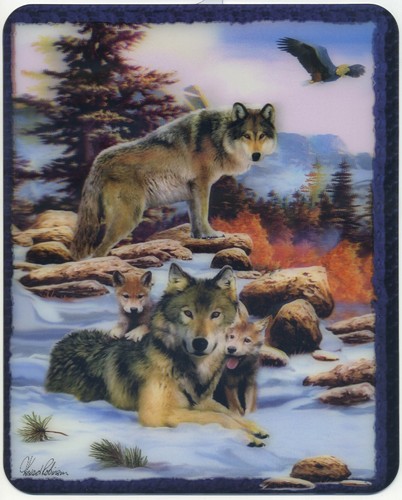 Loups famille neige - loups,