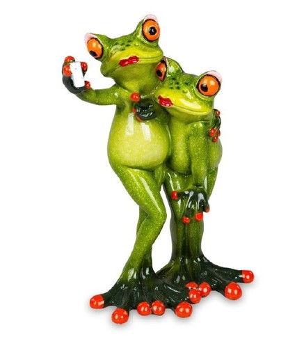 768094 grenouille paire selfie - 768094,