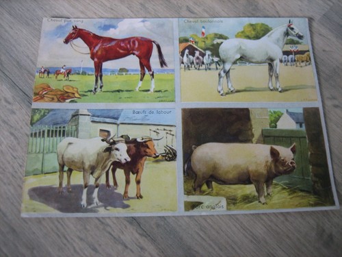 Ancienne planche images