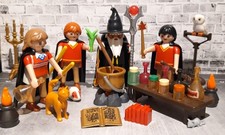PLAYMOBIL HARRY POTTER RON HERMIONE ALBUS FIGURINE HOGWARTS POTIONS BAGUETTE