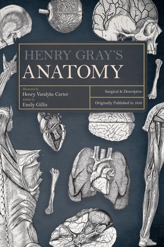 Henry gray - henry, gray's