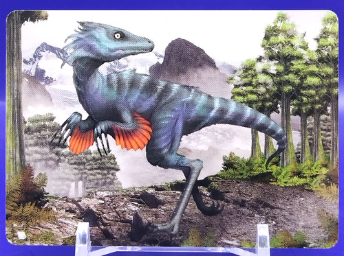Cartes troodon dinosaures - cartes,