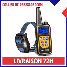 Collier de Dressage Chien