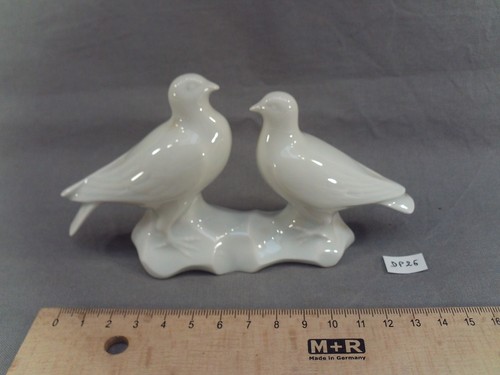 Couple palombes en - de,