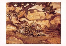 CP TABLEAU ART ANTOINE LOUIS BARYE Tigre et Serpent
