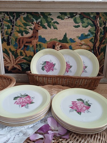 Lot assiettes plates moulin - 18,